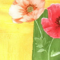 8173 маки на желтом 0,45*8м пленка самоклеящаяся