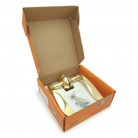 Комплект дверных ручек SOLLER ZY-509 GP золото